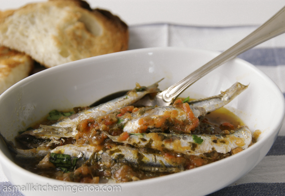 Ligurian anchovies soup