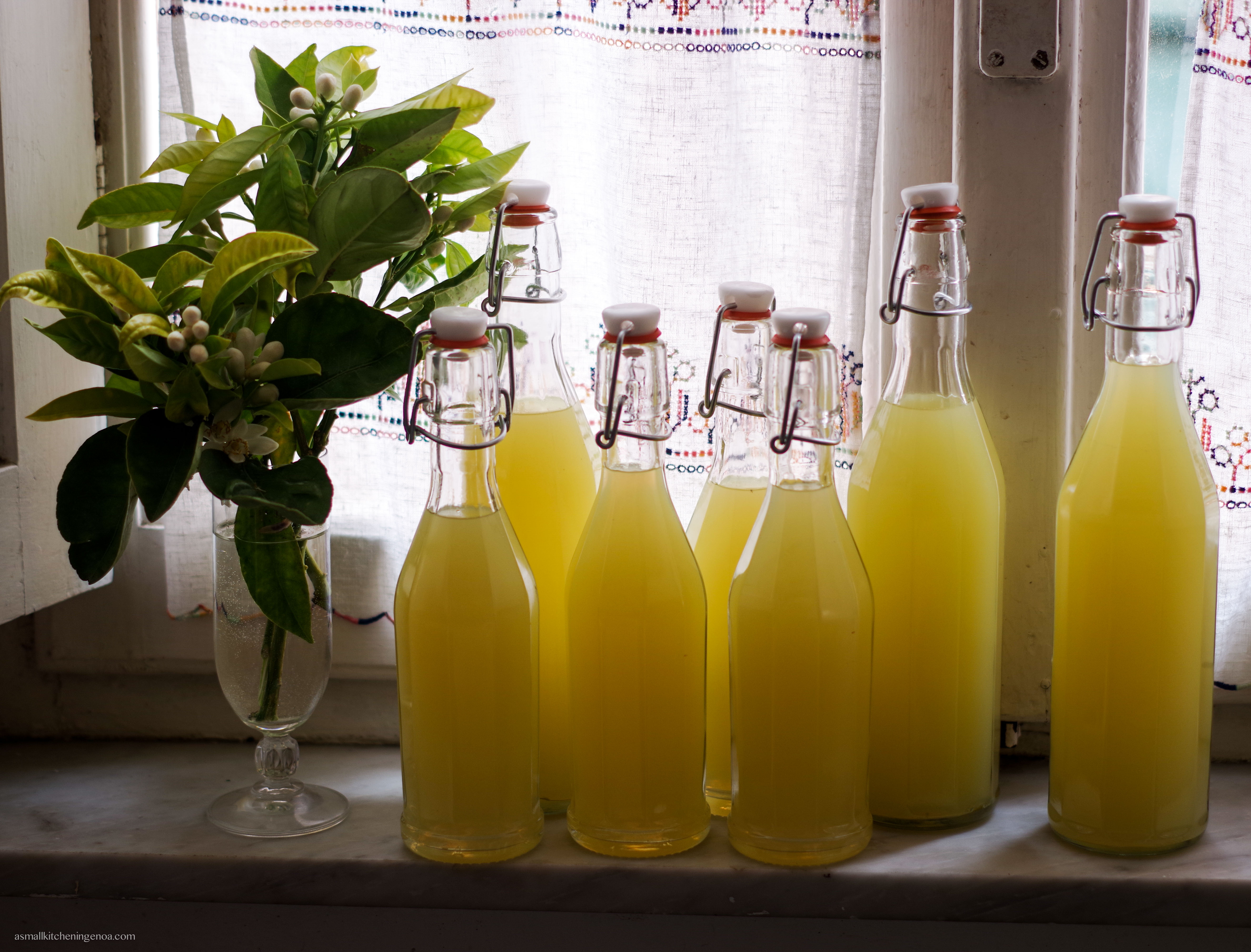 limoncello recipe: limoncello just bottled.