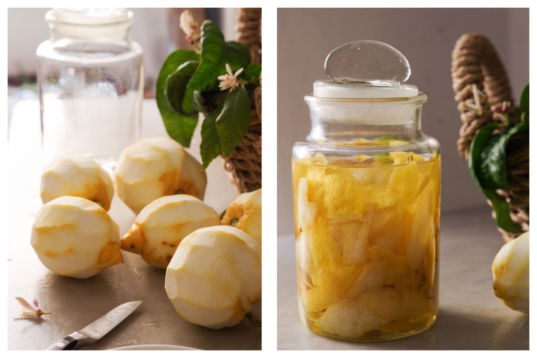 A limoncello recipe work in progress: maceration phase