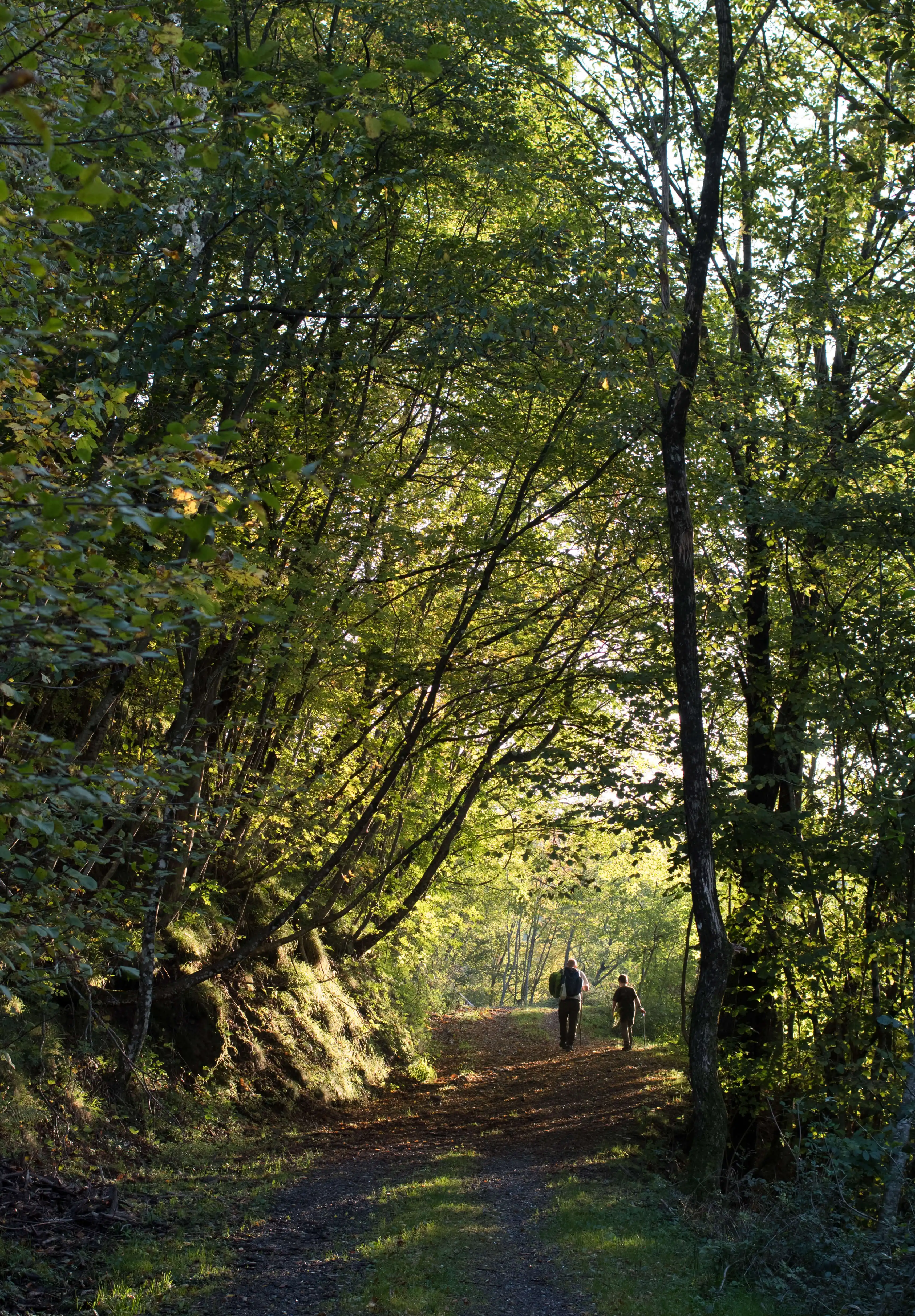 |Liguria Inland | Autumn in Val Graveglia and roasted chestnuts