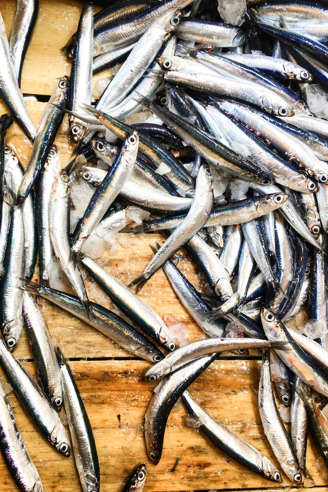 My collection of recipes with anchovies